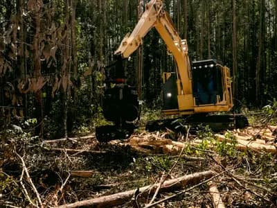 Land Clearing Services Baltimore in Baltimore